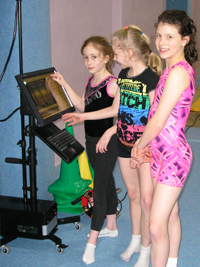 Sussex Springers CMA Cougar